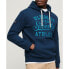Фото #1 товара SUPERDRY Athl Script Embroidered Graphic hoodie