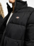 Dickies waldenburg puffer jacket in black 2XL - фото #3