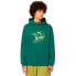 OAKLEY APPAREL Finish Line hoodie Viridian, XS - фото #2