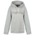 Фото #2 товара SUPERDRY Core Logo Source hoodie