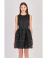 Women's Striped Organza Sleeveless Mini Dress