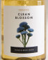 (500 ml) clean blossom liquid soap