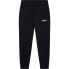 Фото #1 товара HACKETT Aston Martin Storm Joggers