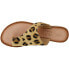 Фото #6 товара COCONUTS by Matisse Whitney Leopard Flat Womens Brown Casual Sandals WHITNEY-LE