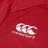 Фото #8 товара CANTERBURY Club Dry Junior short sleeve polo