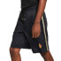 Nike Giannis Coming to America Casual Shorts CQ6314-010