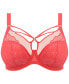 ფოტო #1 პროდუქტის Full Figure Brianna Underwire Plunge Bra EL8080