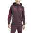 Спортивное мужское худи FC Bayern Munich 24/25 от Adidas Shadow Maroon / Red, XL - фото #2