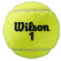 Фото #3 товара WILSON Roland Garros All Court Tennis Balls