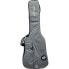 Ritter Carouge Double Bass EGR