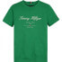 TOMMY HILFIGER Script short sleeve T-shirt