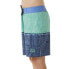 Фото #2 товара RIP CURL Lost Islands Mirages Swimming Shorts