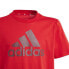 Фото #3 товара T-shirt adidas Big Logo Tee Jr IJ6262