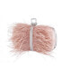 Фото #5 товара Women's Feather Embellished Minaudiere Clutch