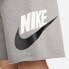 NIKE Sportswear Sport Classic Essentials French Terry Aluminium shorts