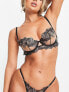 Bluebella Adeline sheer non padded balconette bra with delicate embroidery in black