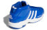 Фото #4 товара Обувь спортивная Adidas Pro Model 2G EF9820
