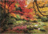 Фото #2 товара Пазл для детей Clementoni Puzzle 1500 elementów Compact Autumn Park