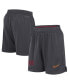 Фото #1 товара Men's Anthracite USC Trojans 2024 Sideline Mesh Shorts