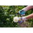 ფოტო #4 პროდუქტის STOCKER Woman Gardening Glove