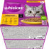 Nassfutter Katze Geflügel Auswahl in Sauce, Adult 1+ Multipack (24x85 g), 2,04 kg