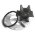 Фото #1 товара TALAMEX 17200100 Neoprene Inboard Impeller Pin Drive With Gasket&Pin