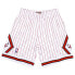 Mens Mitchell & Ness NBA RELOAD SWINGMAN SHORTS - CHICAGO BULLS 1995