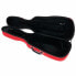 Roth & Junius New Violin Shaped Case Eva RD