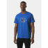 Helly Hansen Core Graphit TM T-shirt 53936 543