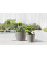 Фото #2 товара Eco pots Amsterdam Modern Round Planter with Water Reservoir, 8in