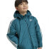 Фото #7 товара ADIDAS ORIGINALS Adicolor Padded Jacket