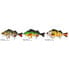 Фото #2 товара WESTIN Ricky The Roach Hybrid Low Floating Glidebait 200 mm 100g