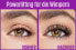 Фото #6 товара Mascara Falsies Lash Lift Waterproof 01 Black, 8,6 ml