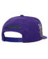 Men's White, Purple Milwaukee Bucks Retro Sport Colorblock Script Snapback Hat