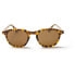 ფოტო #1 პროდუქტის OCEAN SUNGLASSES Hill Sunglasses