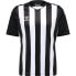 ფოტო #3 პროდუქტის HUMMEL Hmlcore Xk Striped short sleeve T-shirt