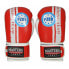 Boxing gloves Masters Rbt-PZKB-W 011101-02W