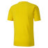 Фото #2 товара Puma Teamfinal 21 Graphic Crew Neck Short Sleeve Soccer Jersey Mens Yellow 7041