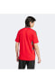 Фото #9 товара Galler Milli Takım Erkek Kırmızı Futbol Forması
