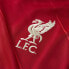 Фото #3 товара NIKE Liverpool FC Stadium Home 21/22 T-Shirt