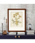 Фото #2 товара Elegant Botanical II 16" x 20" Framed Canvas Wall Art