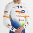 Фото #4 товара Sportful Total Energies Pro Team Arm Warmers