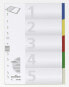 Durable Indexes with Printed and 5 Coloured Tabs - Blank tab index - Polypropylene (PP) - Multicolour - Portrait - A4 - 220 mm