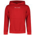 Фото #1 товара HELLY HANSEN Core hoodie