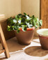 Фото #7 товара Горшок для комнатных растений ZARAHOME Large ceramic planter