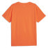 Puma Franchise Q3 Graphic Crew Neck Short Sleeve T-Shirt Mens Orange Casual Tops S - фото #4