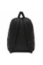 Mn Old Skool Iııı Backpack-vn0a5khqy9ı1