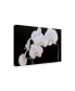 Фото #2 товара Sandra Iafrate Dramatic Orchids I Canvas Art - 20" x 25"