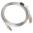 LANBERG USB To B Ferrite cable 3 m