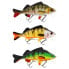 Фото #1 товара WESTIN Ricky The Roach Hybrid Low Floating Glidebait 100g 200 mm